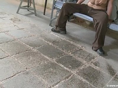 Nadine jansen et l'ami lacté !