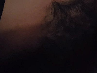 Vendre des chattes à son ex en 2014