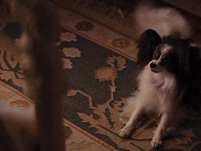 Margot Robbie nue dans Le Loup de Wallstreet