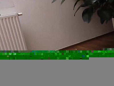 HUNT4K. L'argent rend la fille modeste prête pour l'action sale