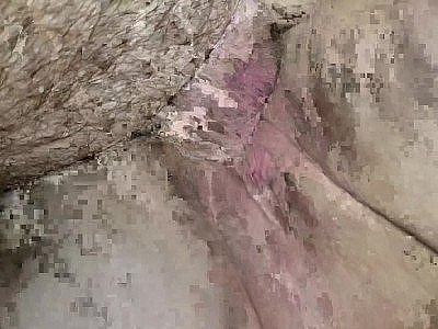 Couple amateur baisant profondément par derrière