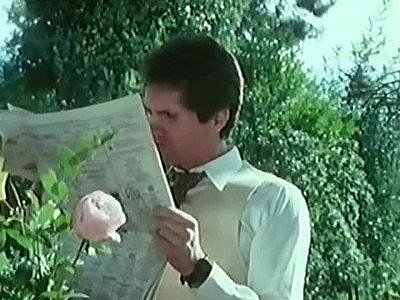 Rétro : la pornstar Honey Wilder se fait baiser sa chatte poilue