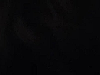 Michele Texera-Lopez